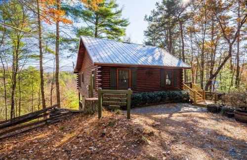 Hog Heaven - Cherry Log GA - Pet Friendly Cabin - Foto 2