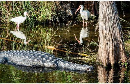 Sleeps 12 Private Pool & Gameroom near Casino, Beaches & Hard Rock Stadium - Foto 77