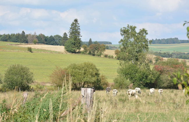 Beautiful Ardennes House in Quiet Area - Photo 32