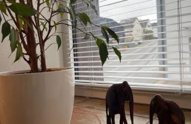 2-room flat with private entrance & privat parking - Foto 23