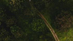 Parcel Tiny House - 20 minutes from Beauval Zoo - Foto 4