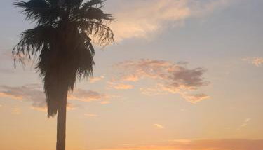 The Little Prince - Foto 4