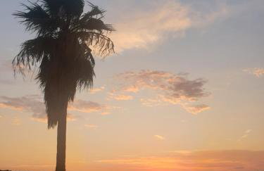 The Little Prince - Photo 4