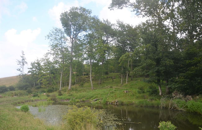 Lehnsgaard Ranch - Foto 33