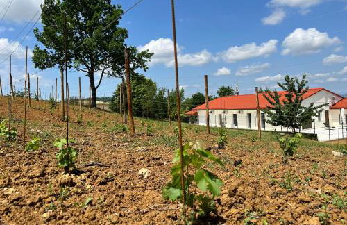 Villa Chiara Piemonte - Foto 35