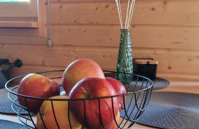 Sękowy Domek - Foto 10