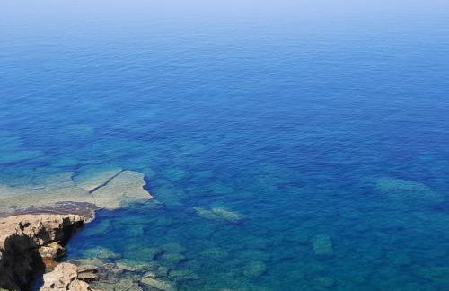 Villa la Torre Libeccio - Photo 65