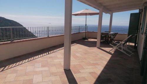 L' Elicriso - Foto 3