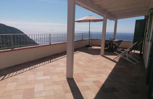 L' Elicriso - Foto 3