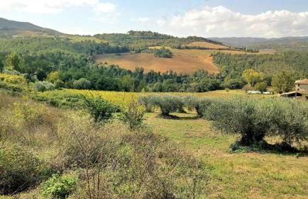 CAMPO AL VENTO - Country farm - Foto 35