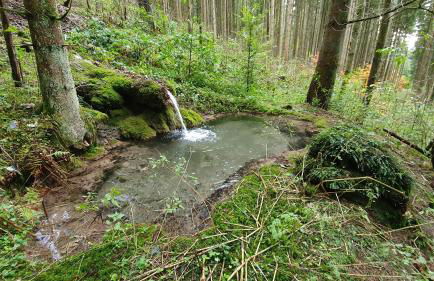 Gemütliche Ferienwohnung mit Terrasse, im Schwarzwald - Foto 35