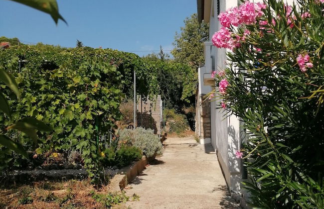 Detached House Miketa - Foto 37