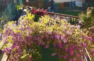 Bella Vista - Foto 40