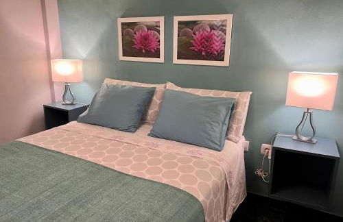 Estudios Dalia - Foto 1