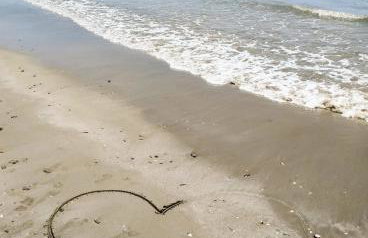 Zen Apartments - Photo 50