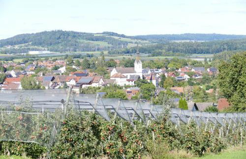 Apartment Flora - Foto 21