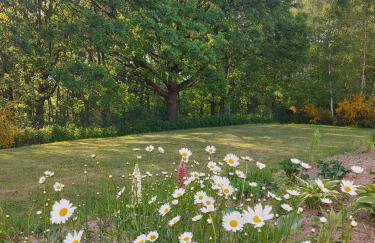 Kraniec Świata - Zachwyca Krajobrazem, Regeneruje Ciszą i Komfortem - Foto 33
