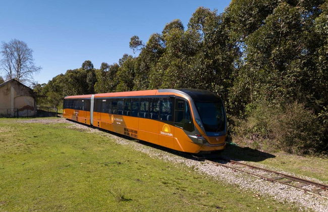 Paseo en el Tren de Pampa + Visita a la bodega Almadén - Foto 7