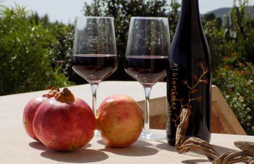 Alkionides Villas - Foto 75