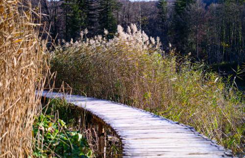 Apartment Goran - Foto 8