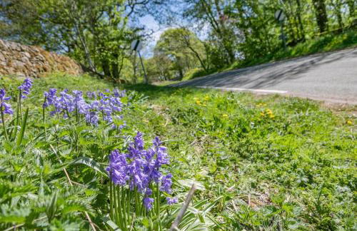 1 Bed in Longnor oc-g31026 - Foto 16