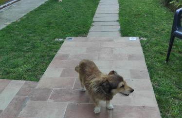 Casa NONNA LINA - Foto 15