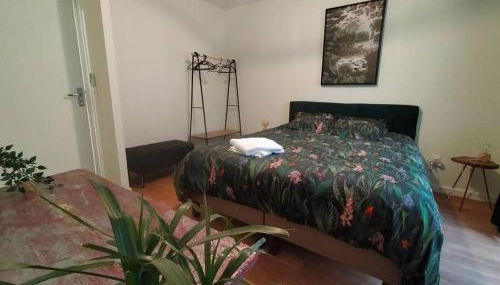 Maison et parking privé proche zénith et volcans. - Foto 4