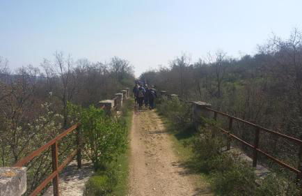 Agriturismo Laire Masseria - Foto 6