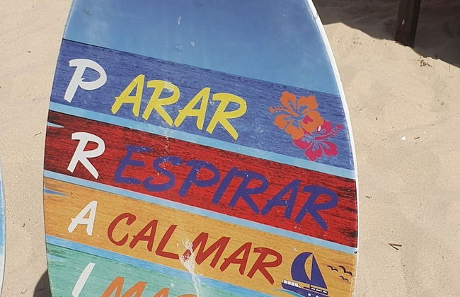 Andorinhas - Foto 27