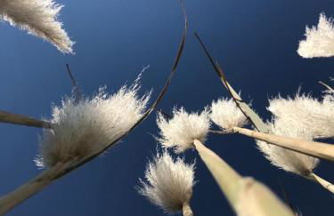 A l Aube du Midi - Foto 41