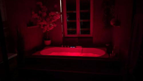 Le SPA - Villa Valmy - Hypercentre - Gare SNCF - Foto 3