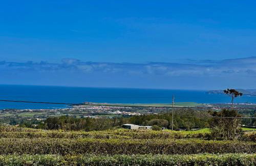 Azores Quinta do Segredo - Photo 15