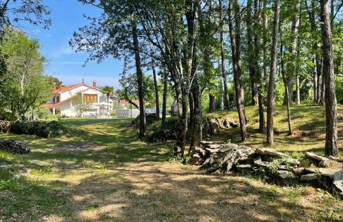 Apartment Benky Pican - Foto 31