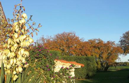 Moratto's Apartments - Foto 41