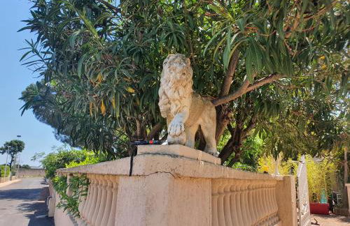 Villa les palmiers -Stretta di i mandarini - Foto 29