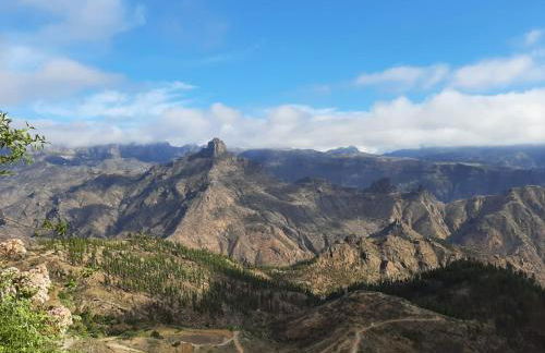 La Cuevita de Hilario - Foto 28