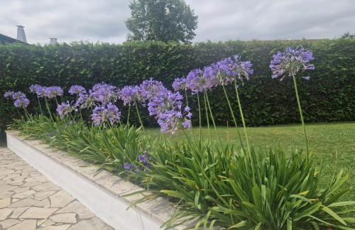 Villa basque piscine chauffée - Foto 38