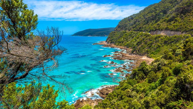 Private Tour from Melbourne - Photo 3