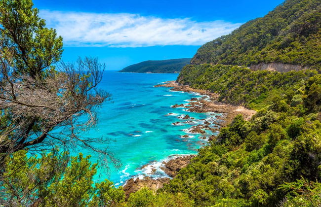 Private Tour from Melbourne - Photo 3