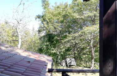 LA BAITA DEL CONTE - Photo 17