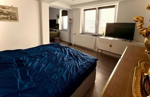 Apartment in Heidelberg's Altstadt - City Tax inklusive - Foto 9