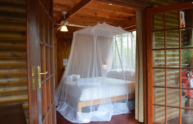 Lion Tree Bush Lodge - Foto 8