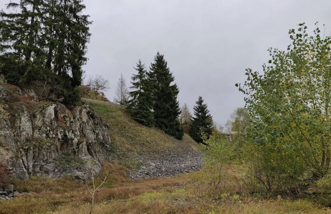 Doppelhaushaelfte in Hasselfelde - Foto 31