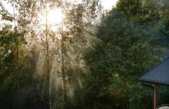 Budzi nas las Marcyporęba - Duży domek - Photo 26