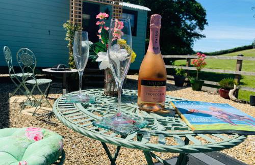 Little Bo Peep - Foto 6