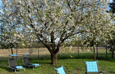 Friedas Glück - Foto 1