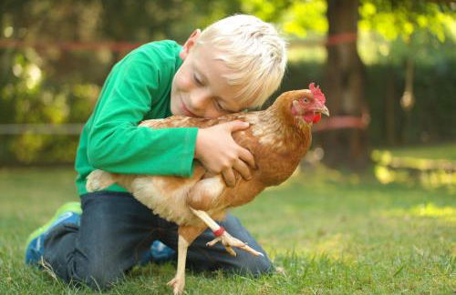 Harzer Feriengarten - Foto 44