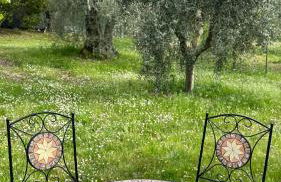 Villa Profumo di Salvia - Photo 35