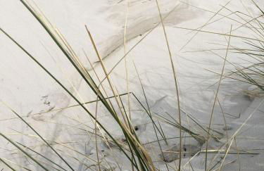 Ferienwohnung-Austernfischer - Foto 31