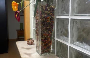 Casa de São Paulo - Foto 19